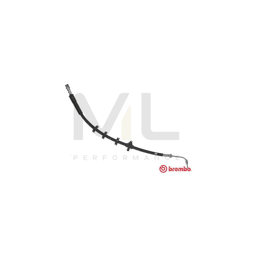 BREMBO T 61 089 Brake Hose for PEUGEOT 406 565mm, M10X1 | ML Performance Car Parts