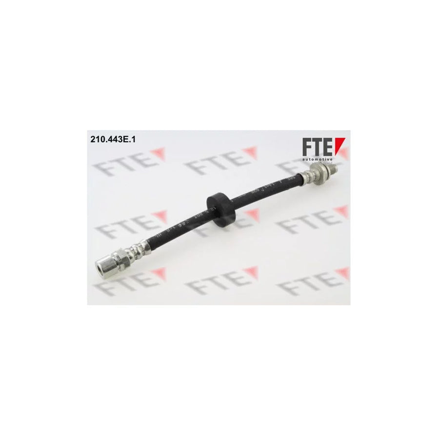 FTE 210.443E.1 Brake Hose