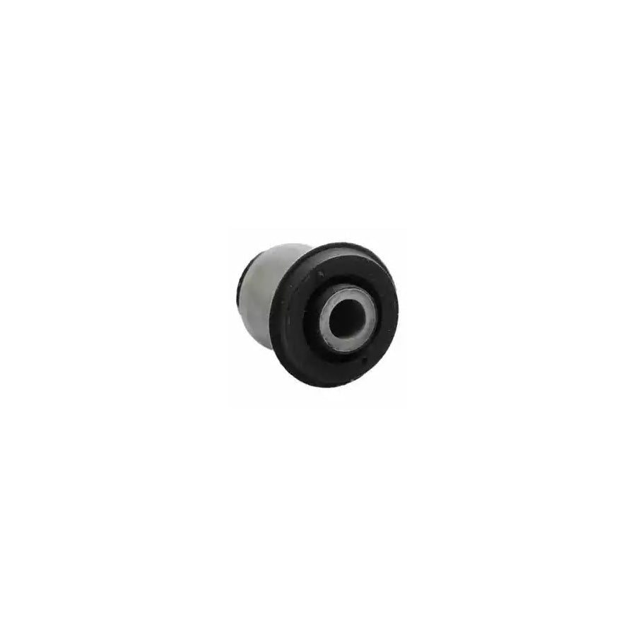 Delphi TD915W Control Arm / Trailing Arm Bush