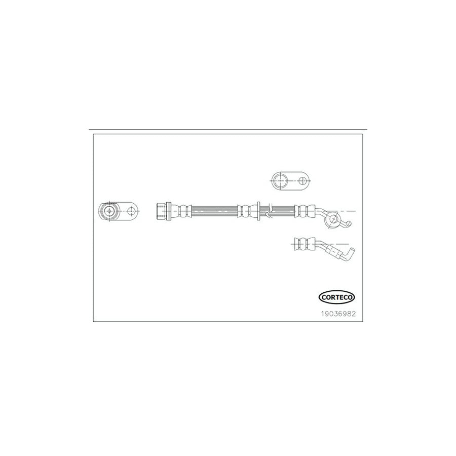 Corteco 19036982 Brake Hose