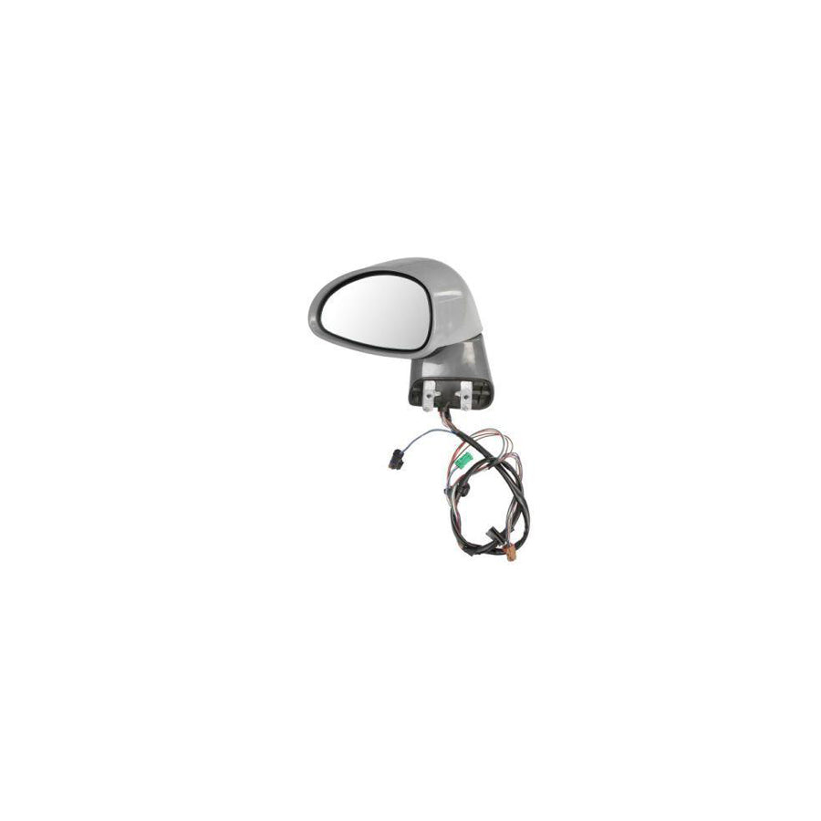 Blic 5402-21-026369P Wing Mirror For Citroen C4