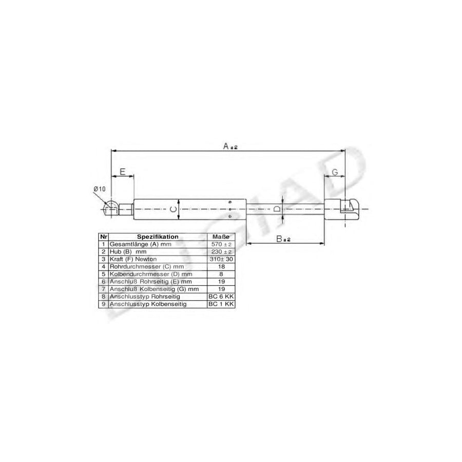 BUGIAD Bgs11159 Tailgate Strut for Hyundai I30 I Hatchback (Fd)