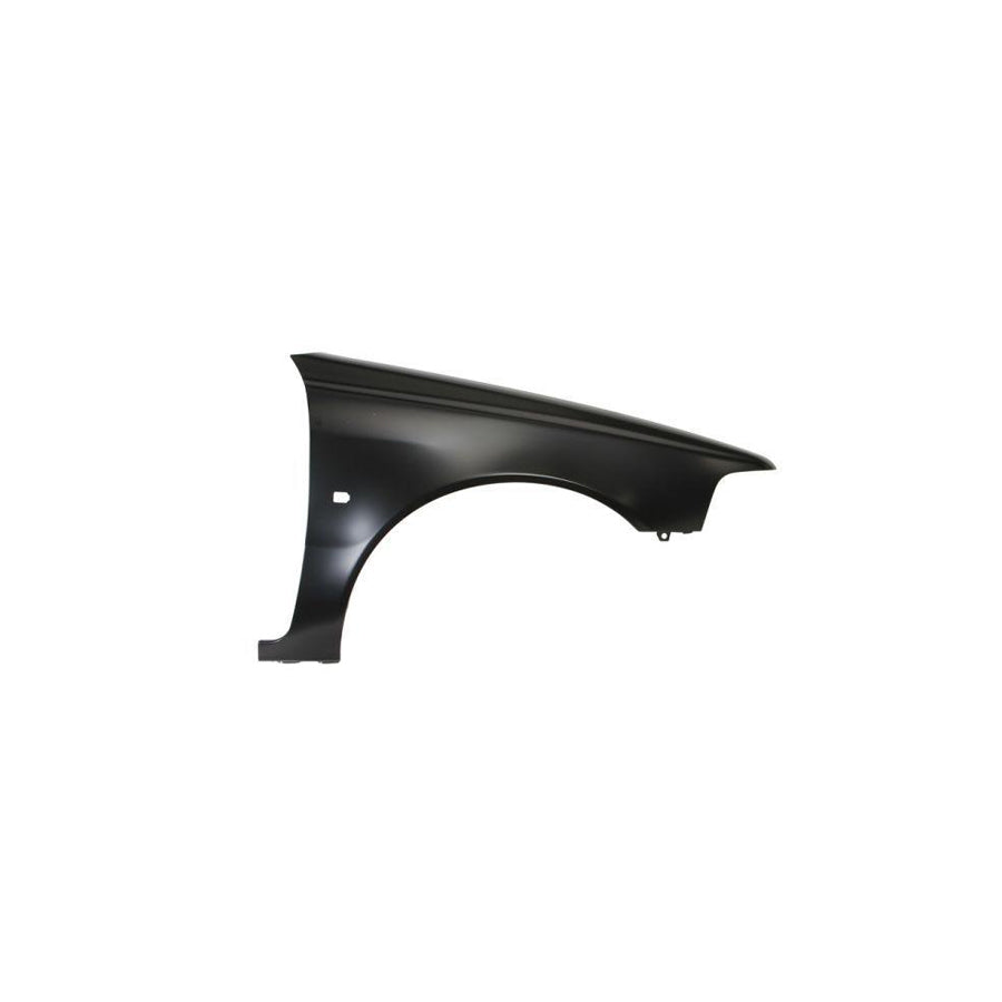 Blic 6504-04-9009314P Wing Fender