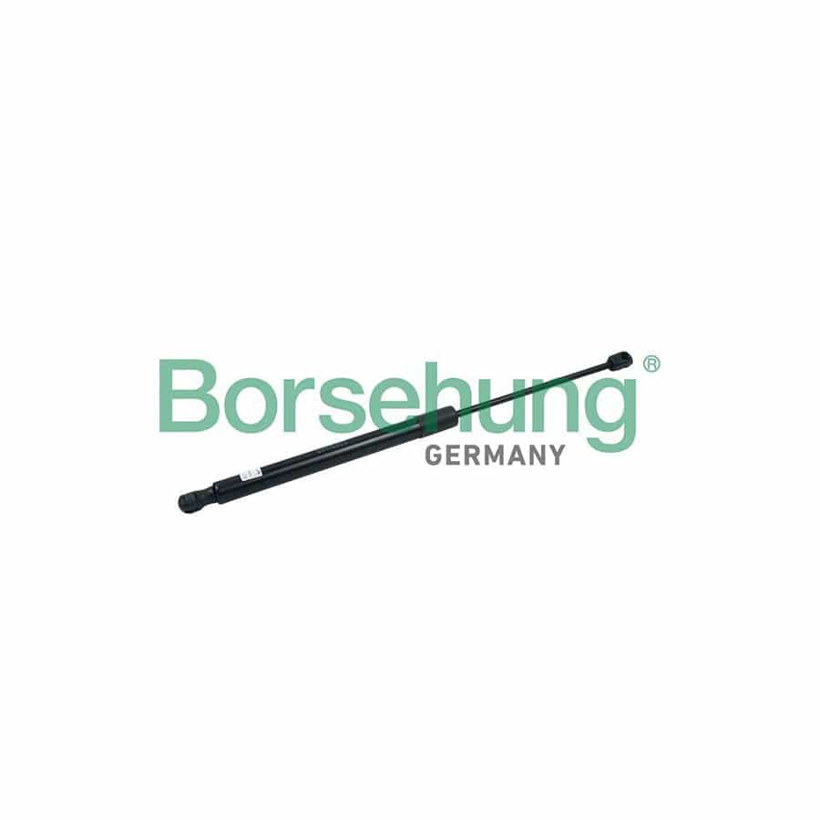 Borsehung B18444 Tailgate Strut for Audi Q3 (8Ub, 8Ug)