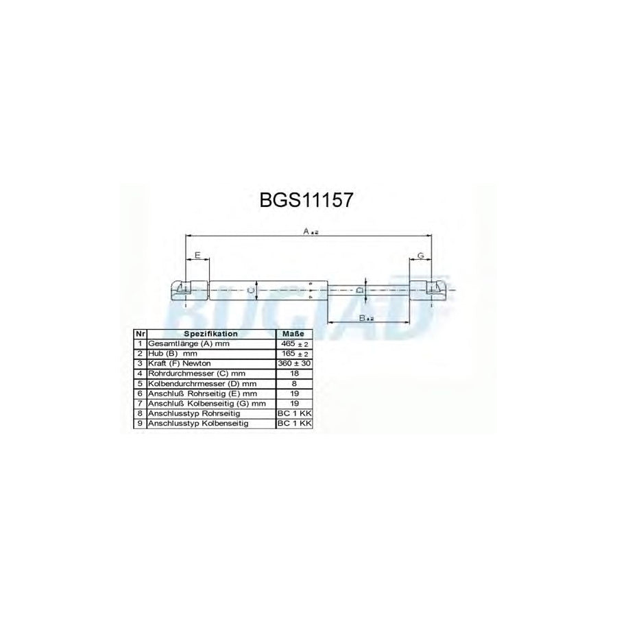 BUGIAD Bgs11157 Tailgate Strut for Hyundai I10 I (Pa)