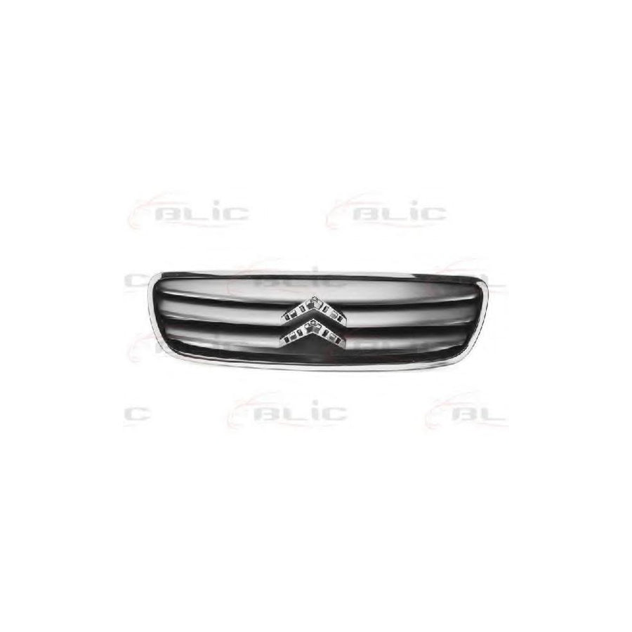 Blic 6502-07-0511992P Radiator Grille For Citroen C2