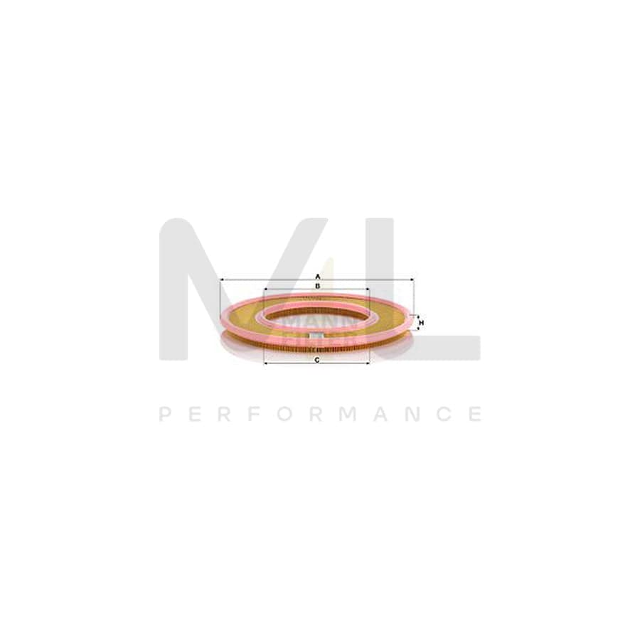 MANN-FILTER C 4190/1 Air Filter Filter Insert