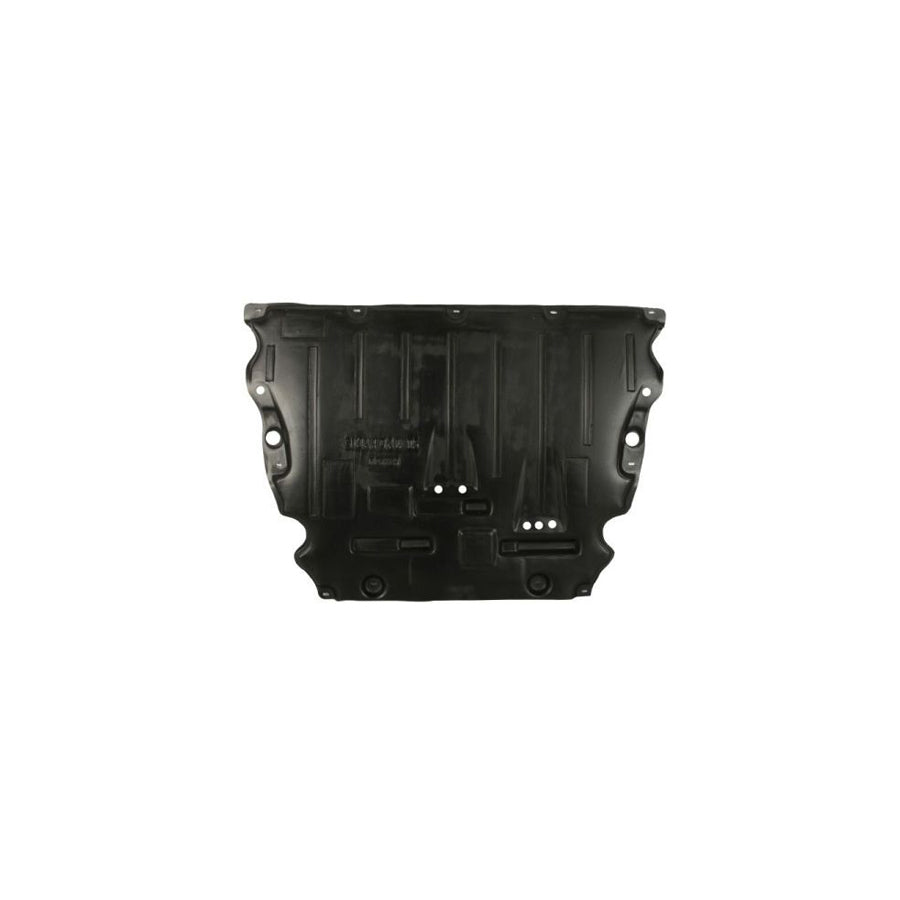 Blic 6601-01-5088831P Panelling, Mudguard | ML Performance UK Car Parts