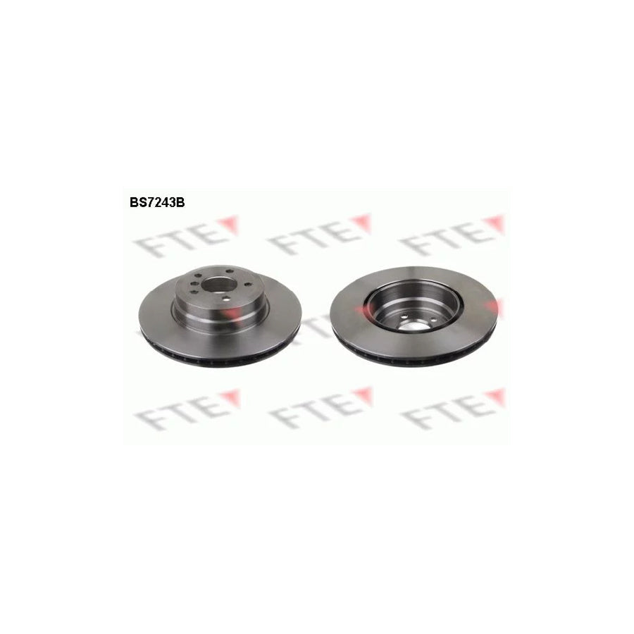 FTE 9081054 Brake Disc