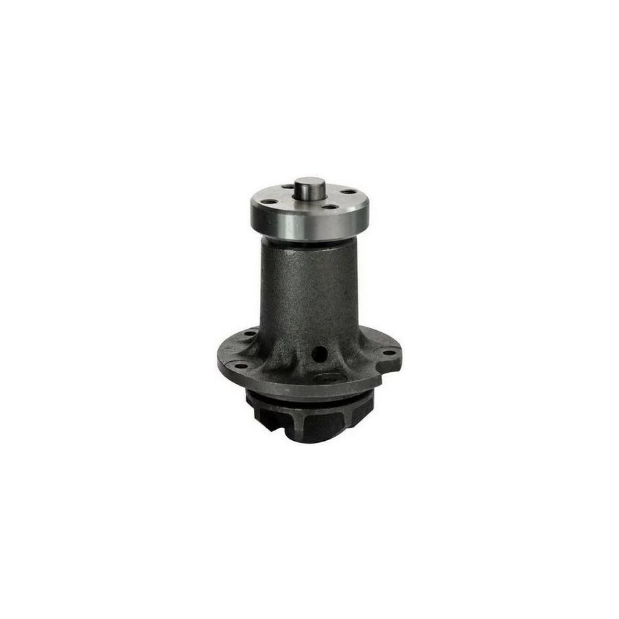 Denckermann A310021 Water Pump