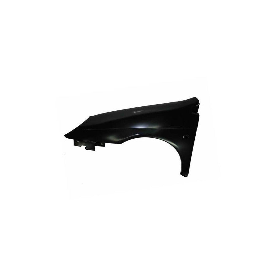 Blic 6504-04-0524311Q Wing Fender For Citroen C5