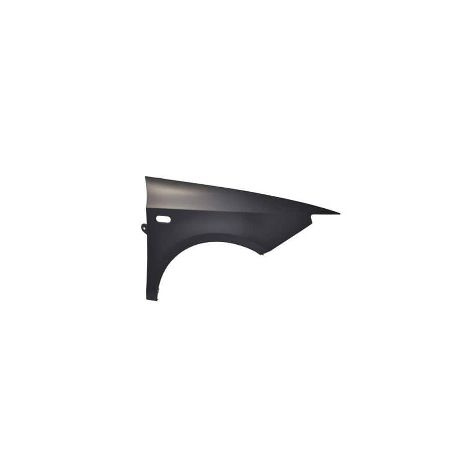 Abakus 04622202 Wing Fender for Seat Ibiza