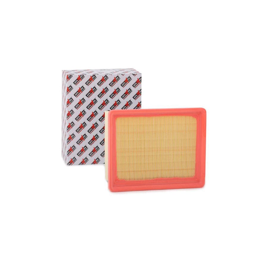 Automega 180030010 Air Filter