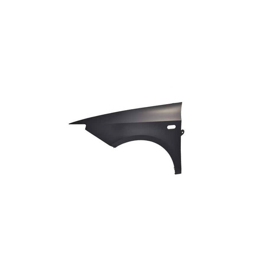 Abakus 04622201 Wing Fender for Seat Ibiza