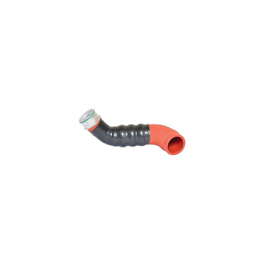 BUGIAD 86607 Charger Intake Hose for Audi A4