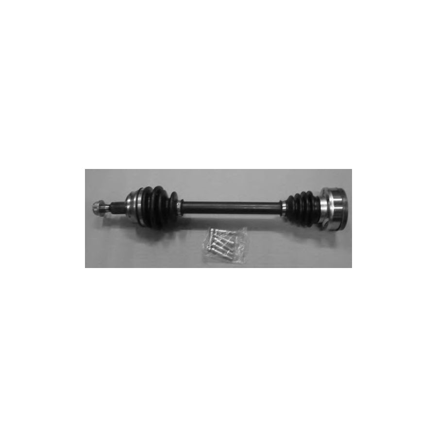 BUGIAD Bsp20054 Drive Shaft