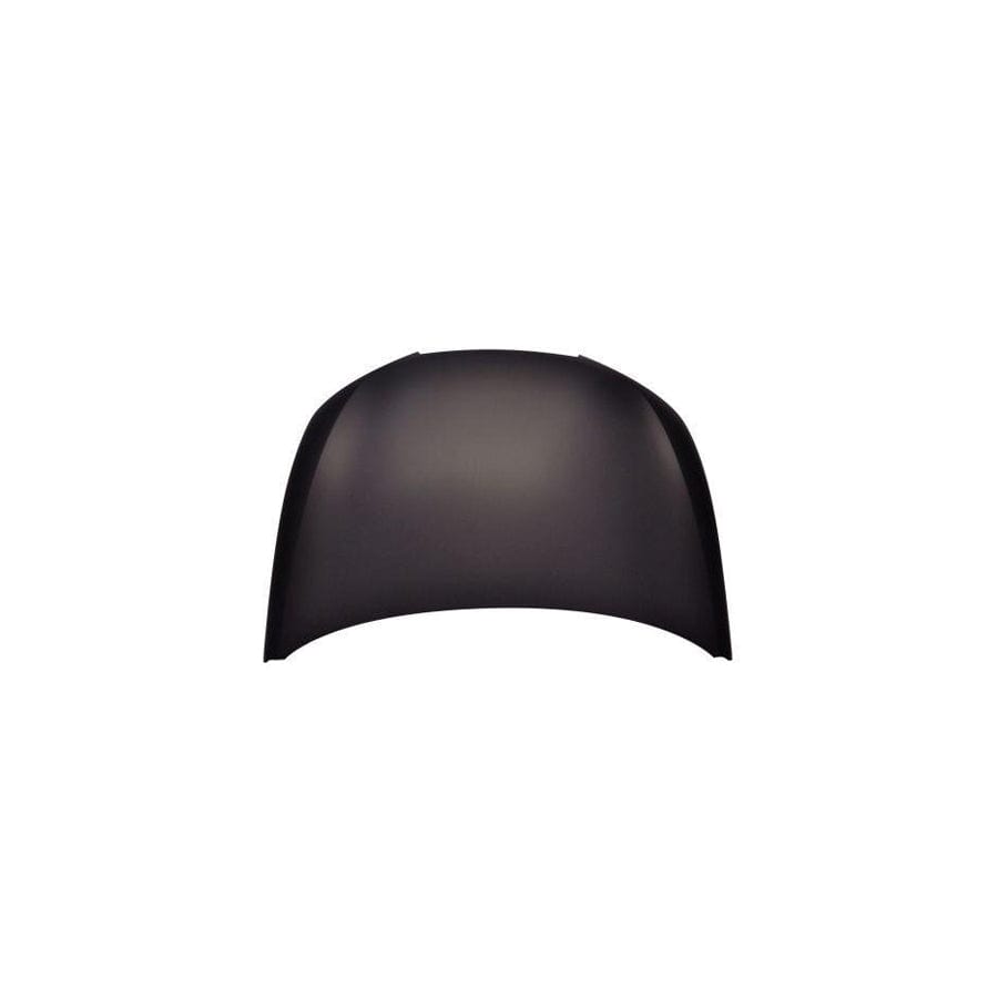 Abakus 04622100 Bonnet for Seat Ibiza
