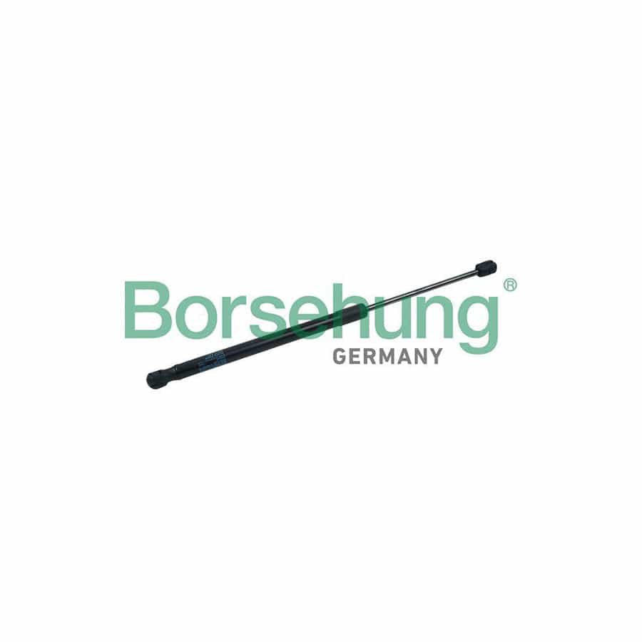 Borsehung B18463 Tailgate Strut for VW Scirocco III (137, 138)