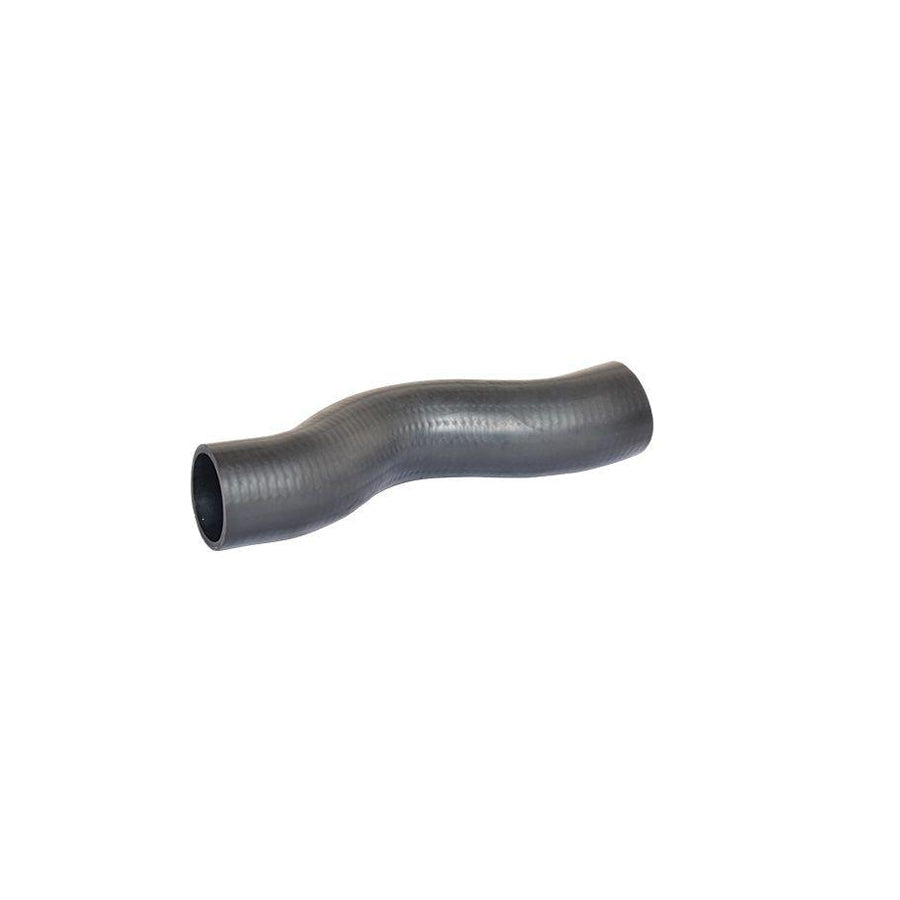 BUGIAD 88704 Charger Intake Hose for KIA Sorento I (Jc)