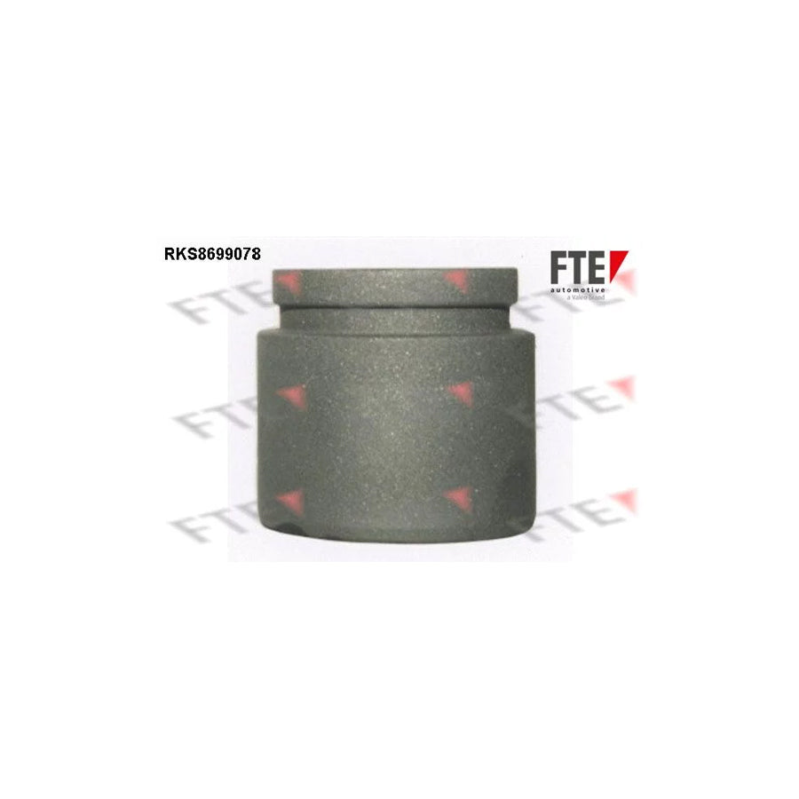 FTE Rks8699078 Piston, Brake Caliper