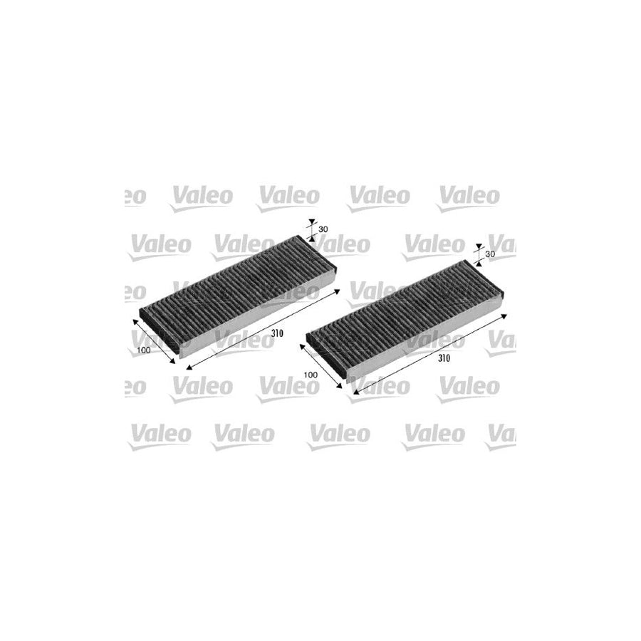 Valeo Climfilter Protect 715501 Pollen Filter | ML Performance US Car Parts