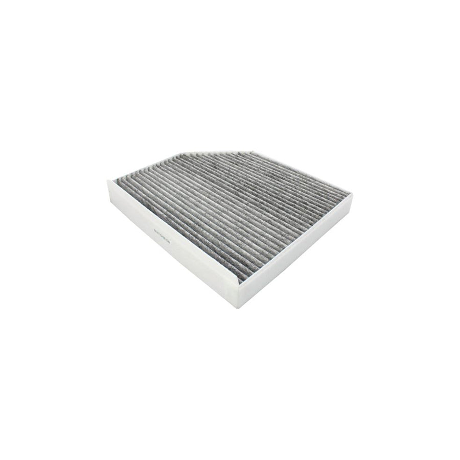 AUTOMEGA 180049210 Pollen Filter