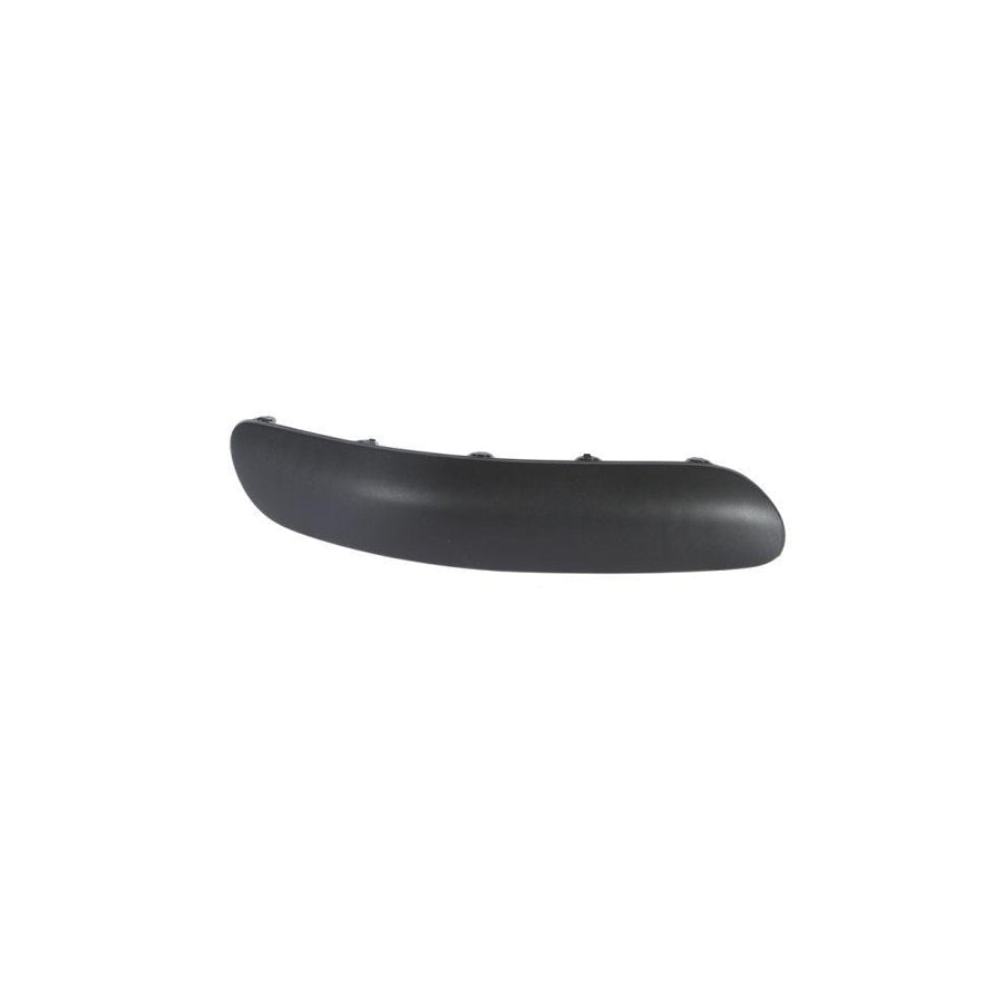 Blic 6502-07-0519924P Bumper Moulding For Citroen C3 I Hatchback (Fc, Fn)