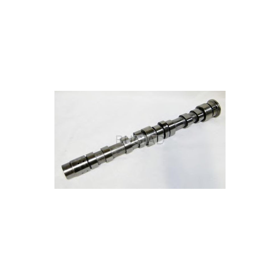 BUGIAD Bsp23175 Camshaft