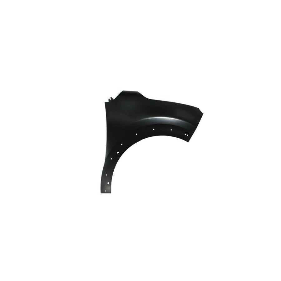 Blic 6504-04-0532314P Wing Fender For Citroen C3