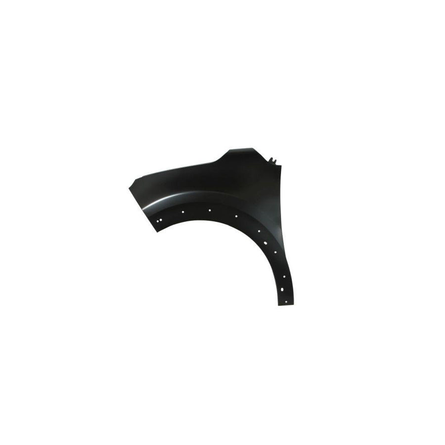 Blic 6504-04-0532313P Wing Fender For Citroen C3