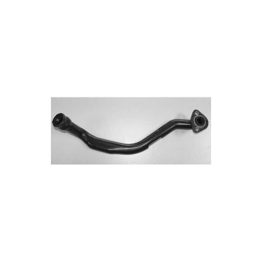 BUGIAD Bsp20075 Hose, Cylinder Head Cover Breather