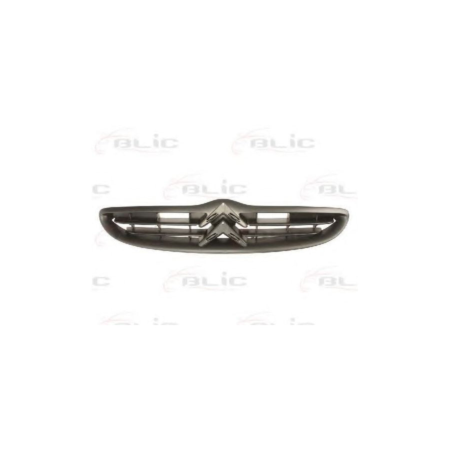 Blic 6502-07-0518992P Radiator Grille For Citroen Saxo Hatchback