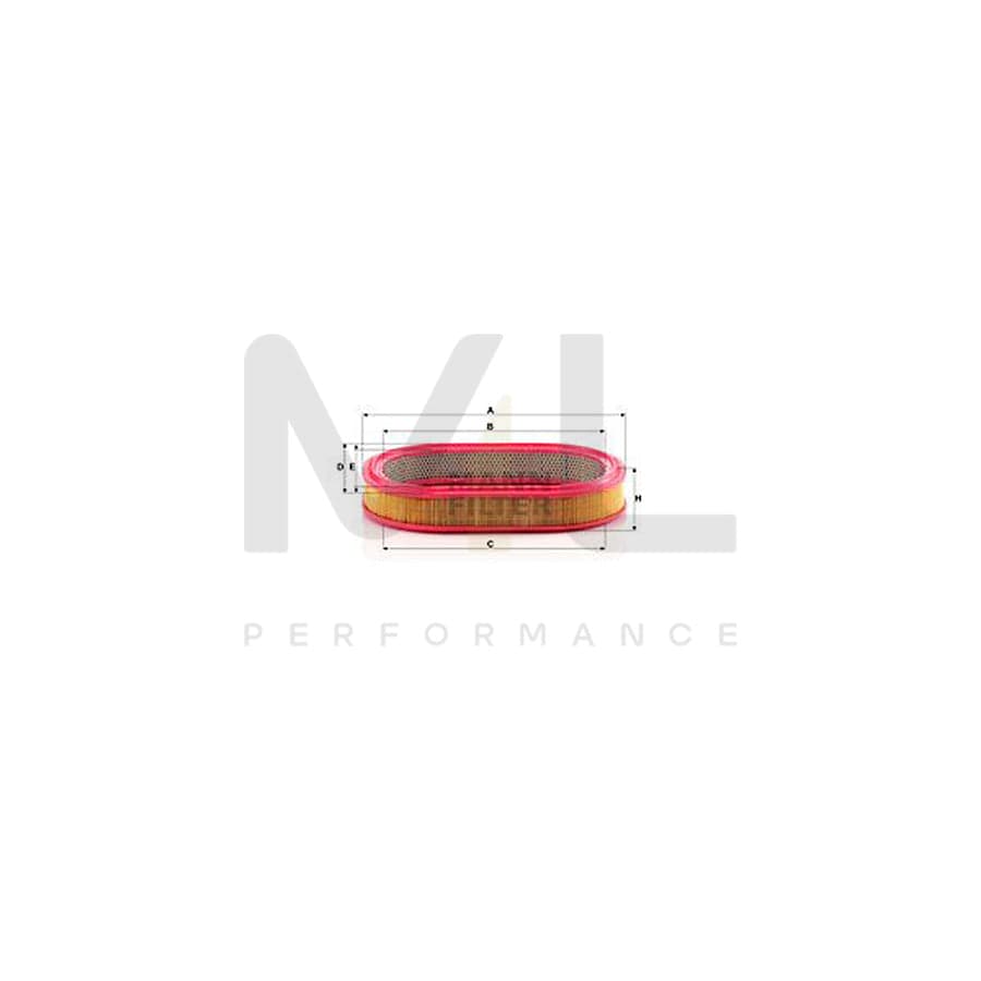 MANN-FILTER C 3975/1 Air Filter Filter Insert