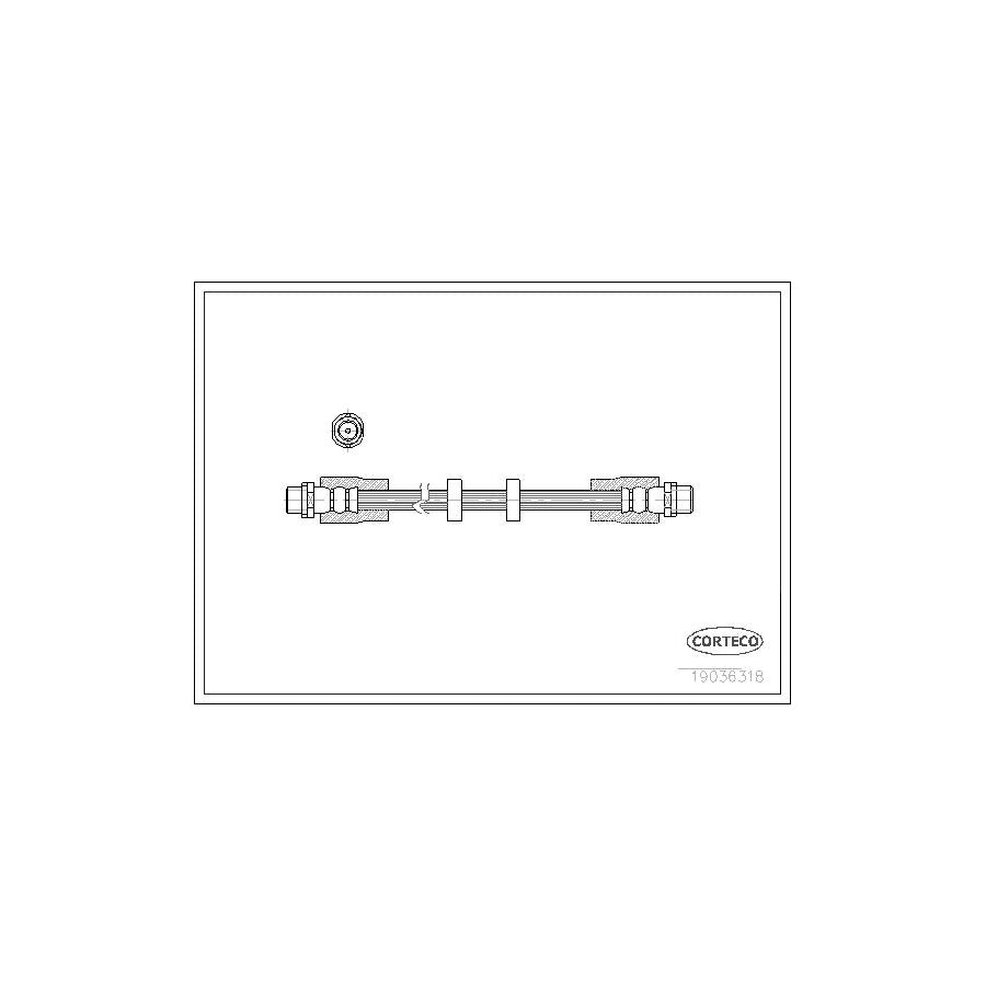 Corteco 19036318 Brake Hose for Audi A6
