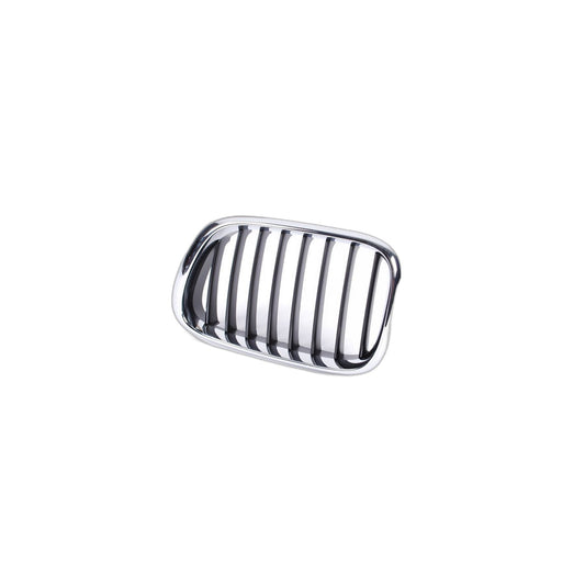 Genuine BMW 51138402645 E53 Grille, Front, Left (Inc. X5 3.0i, X5 4.4i & X5 3.0d) | ML Performance UK Car Parts