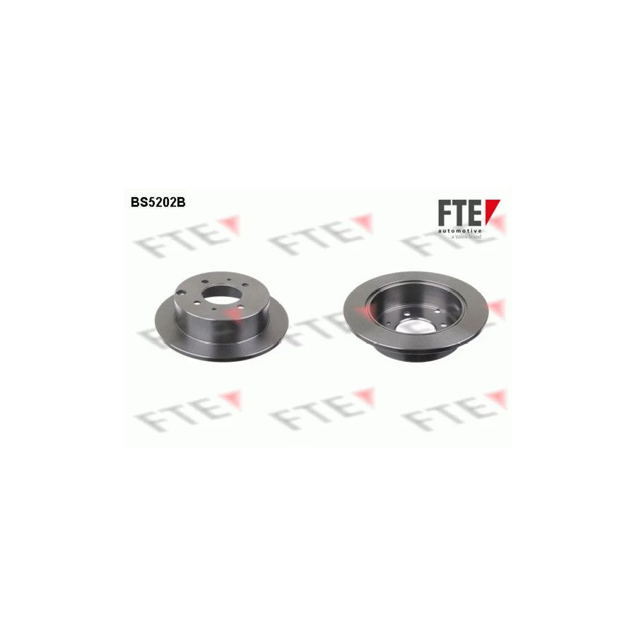 FTE Bs5202B Brake Disc