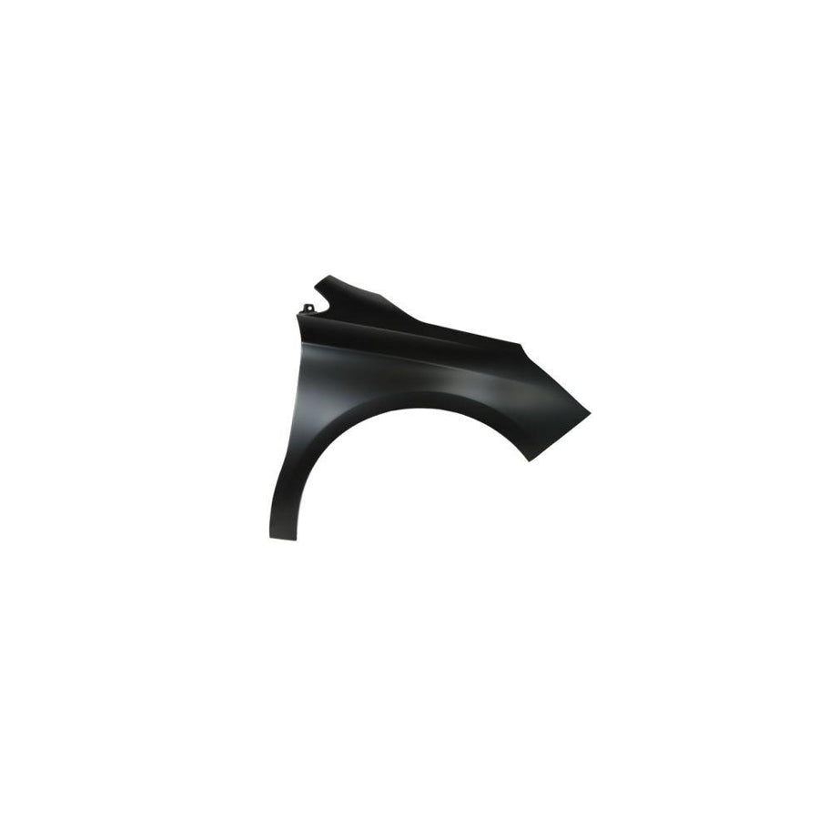 Blic 6504-04-0537314P Wing Fender For Citroen C4