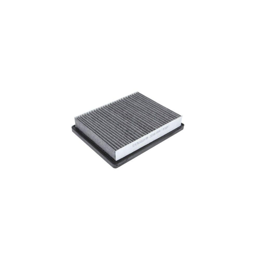 Boss Filters Bs02-146 Pollen Filter