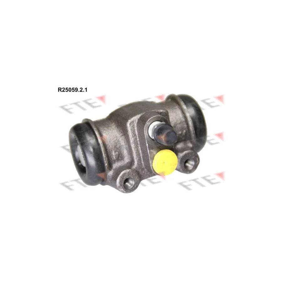 FTE R25059.2.1 Wheel Brake Cylinder