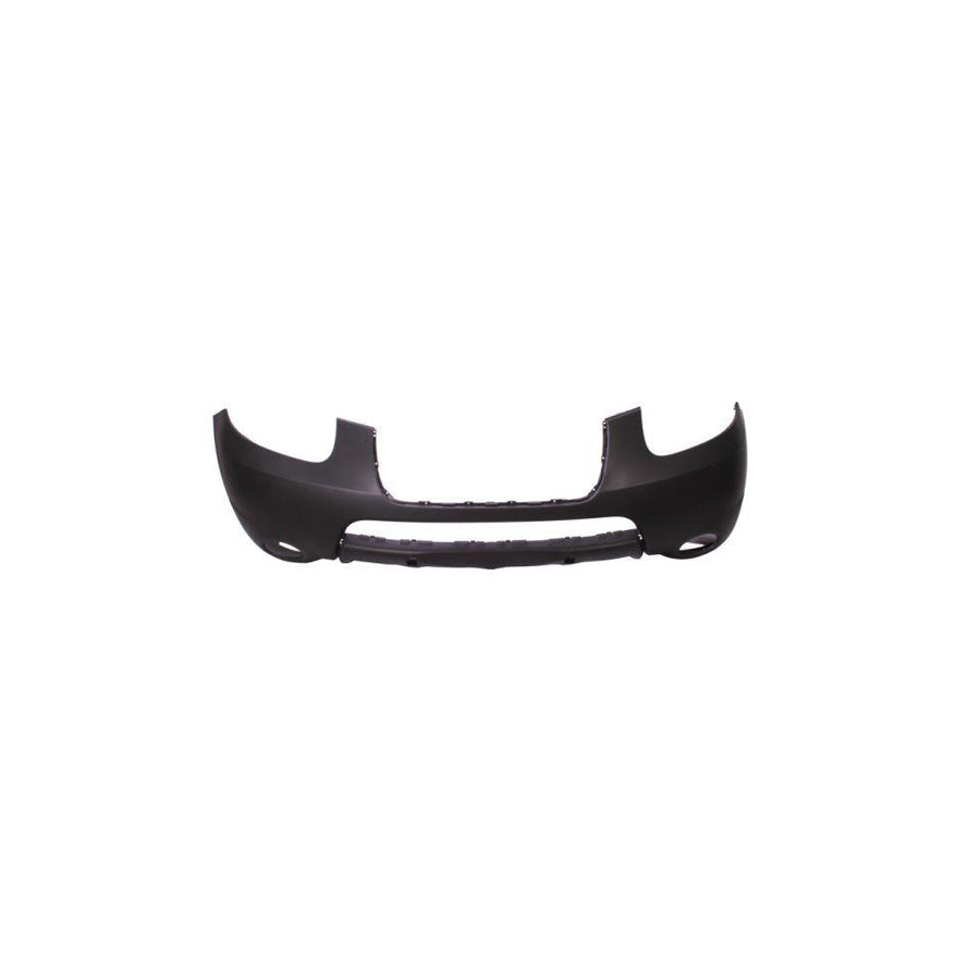 Blic 5510-00-3181900P Bumper For Hyundai Santa Fe II (Cm)