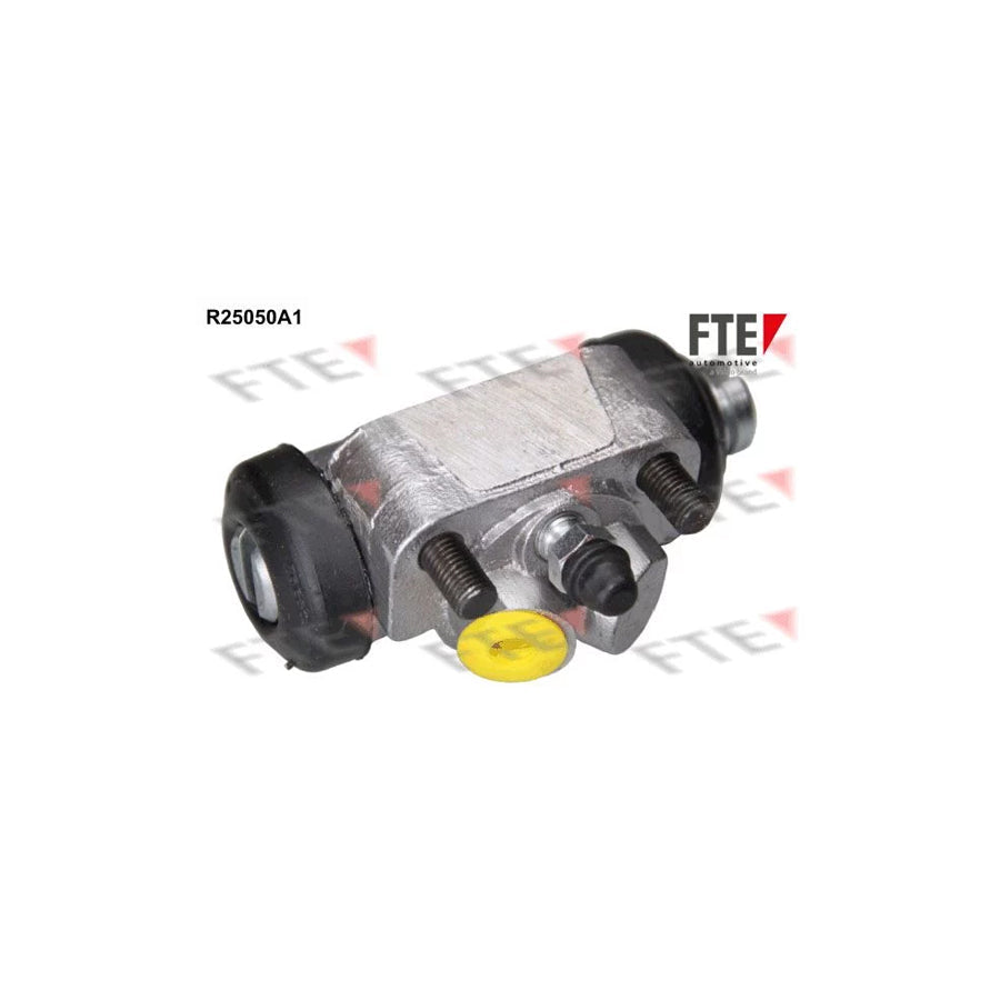FTE R25050A1 Wheel Brake Cylinder