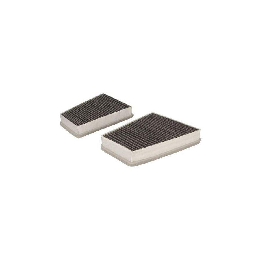 Boss Filters Bs02-144 Pollen Filter