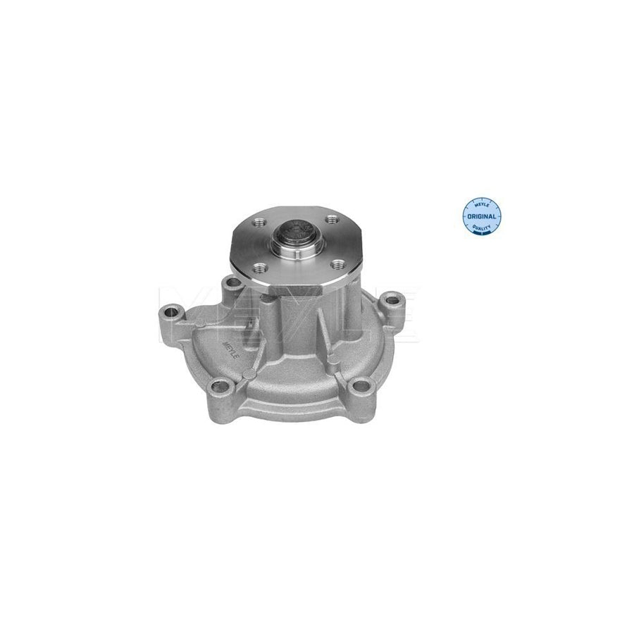 Meyle 013 220 0008 Water Pump