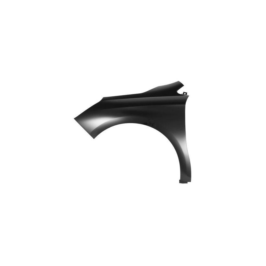 Blic 6504-04-0537313P Wing Fender For Citroen C4