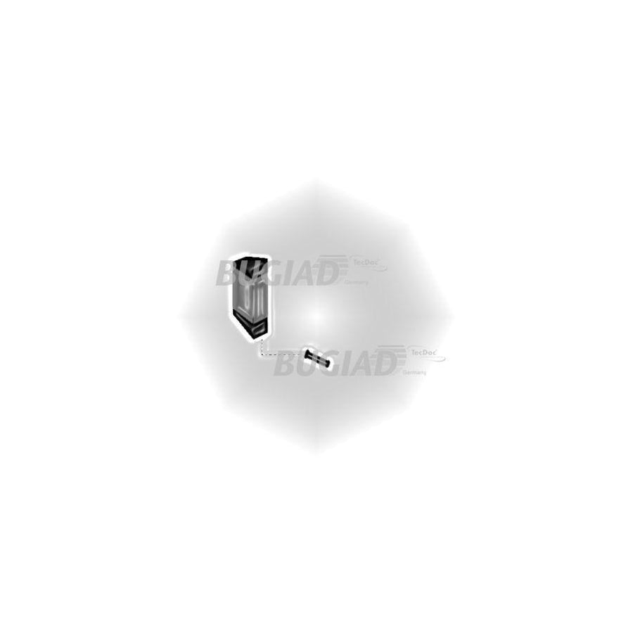BUGIAD 86613 Charger Intake Hose