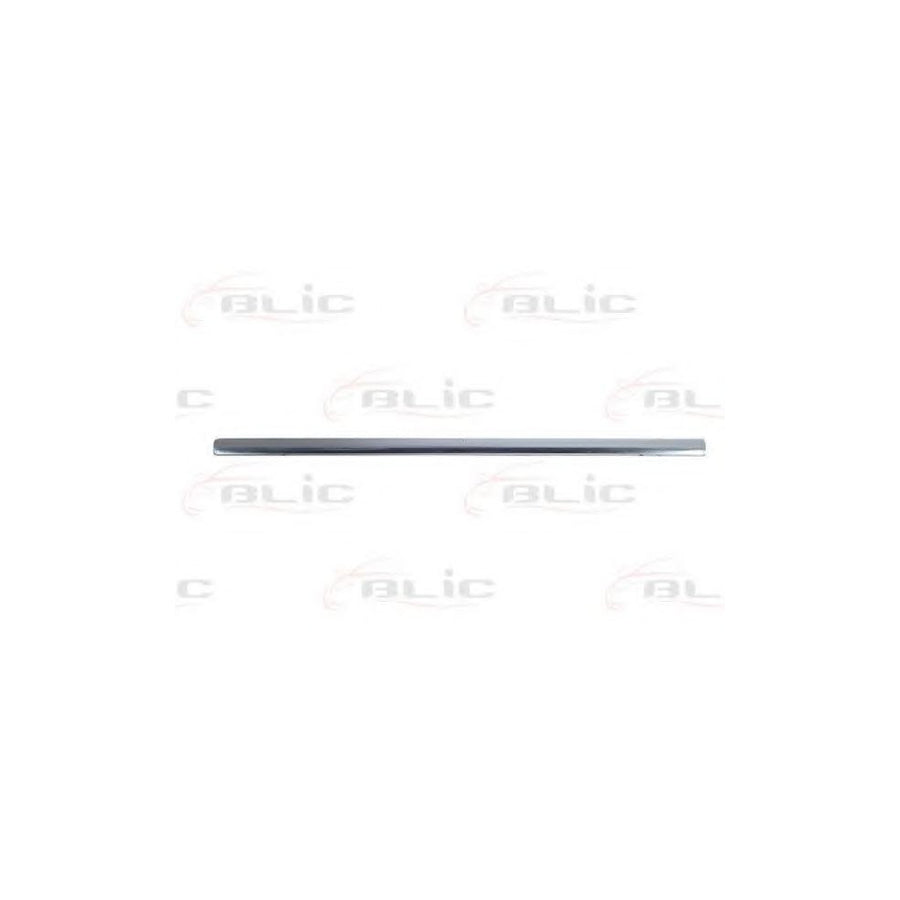 Blic 5703-04-9539572Cp Door Molding For VW Passat