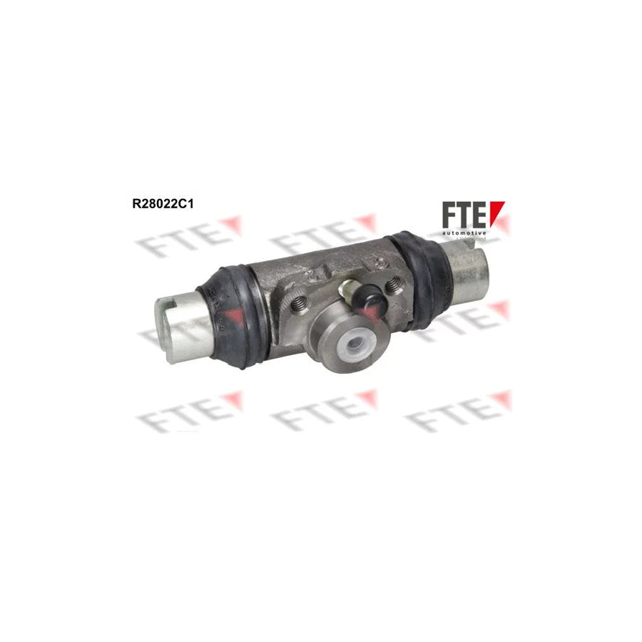 FTE R28022C1 Wheel Brake Cylinder