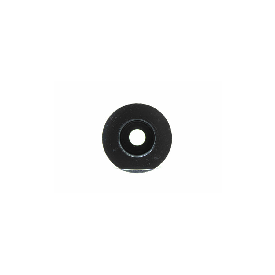 Alanko 10723311 Pulley, Alternator
