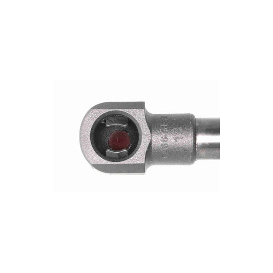 Ackoja A38-0069 Tailgate Strut | ML Performance US