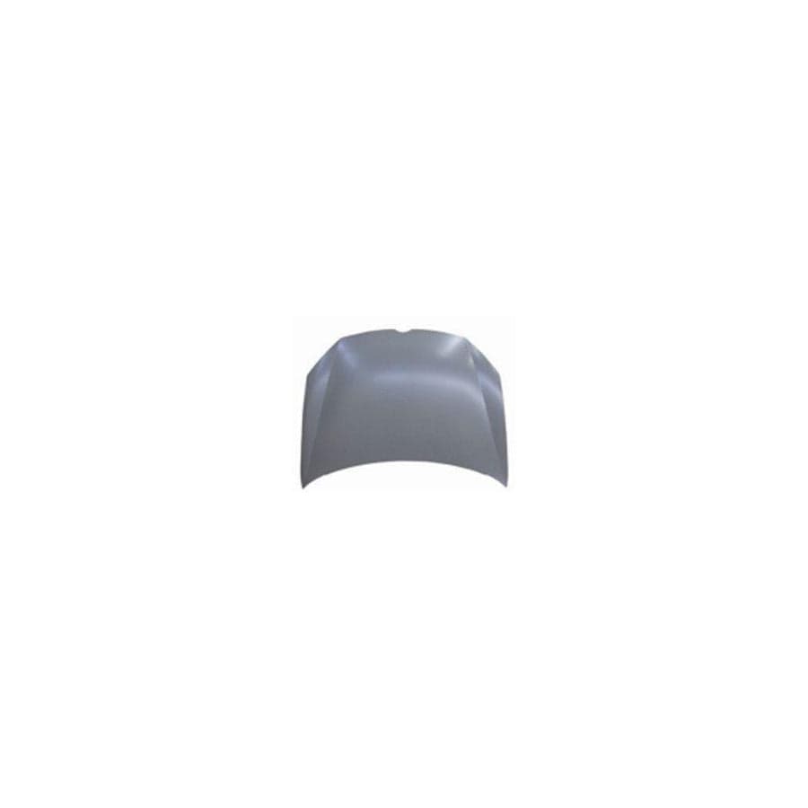 Abakus 05314100 Bonnet for VW Golf